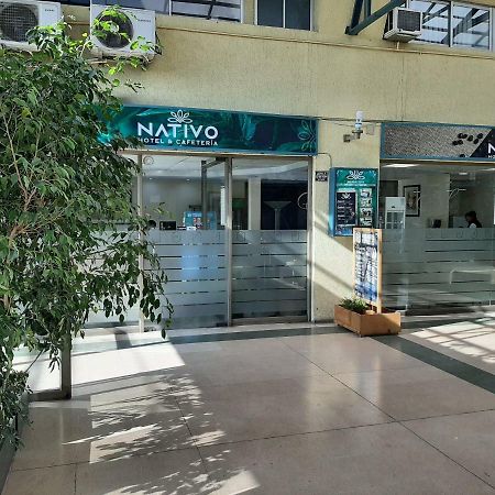 Nativo Hotel Y Cafeteria タルカ エクステリア 写真