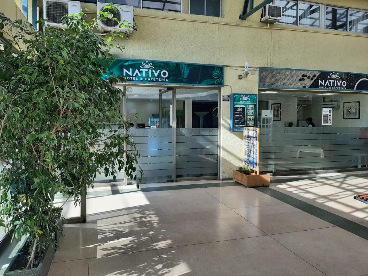 Nativo Hotel Y Cafeteria タルカ エクステリア 写真