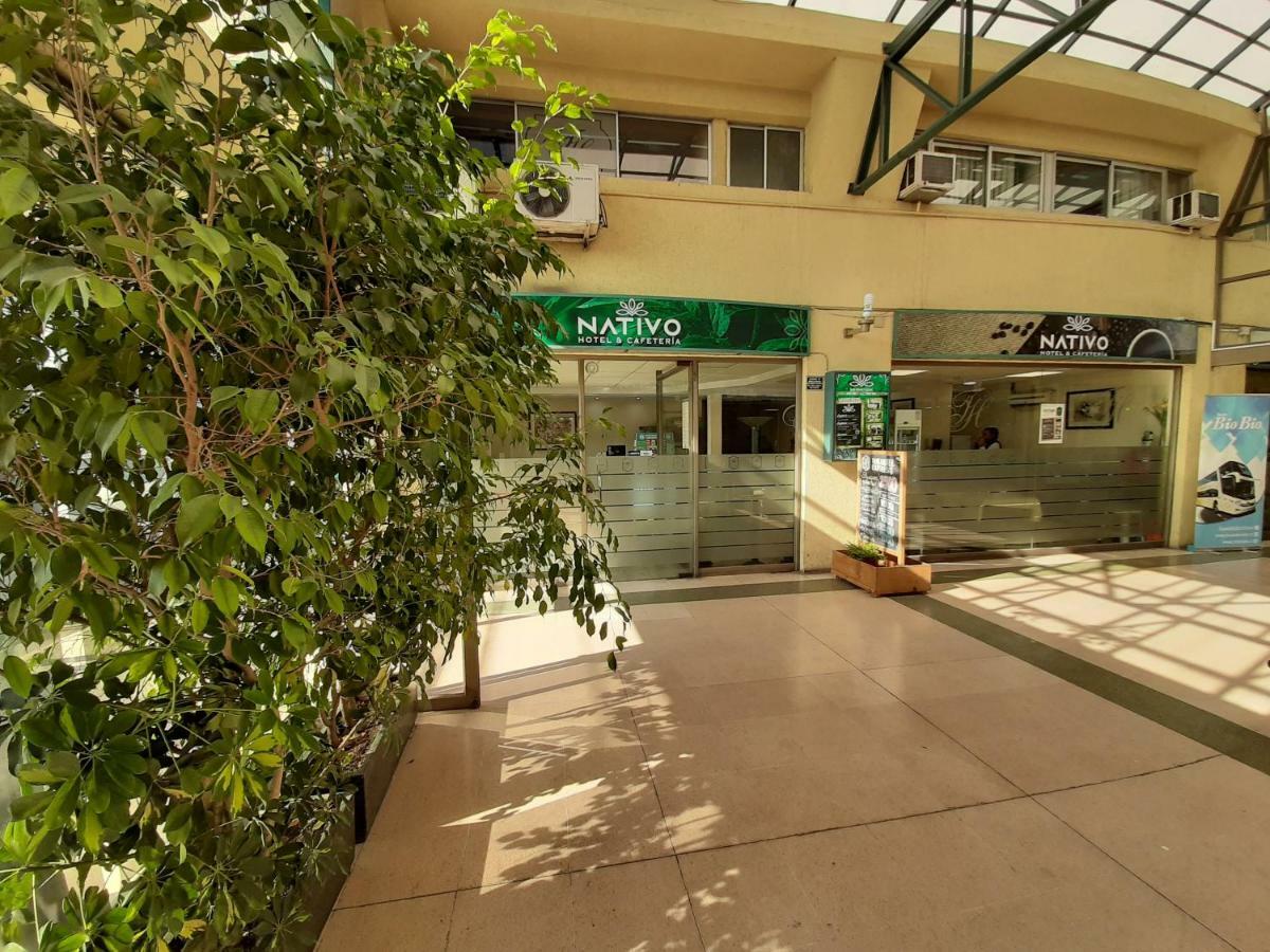 Nativo Hotel Y Cafeteria タルカ エクステリア 写真