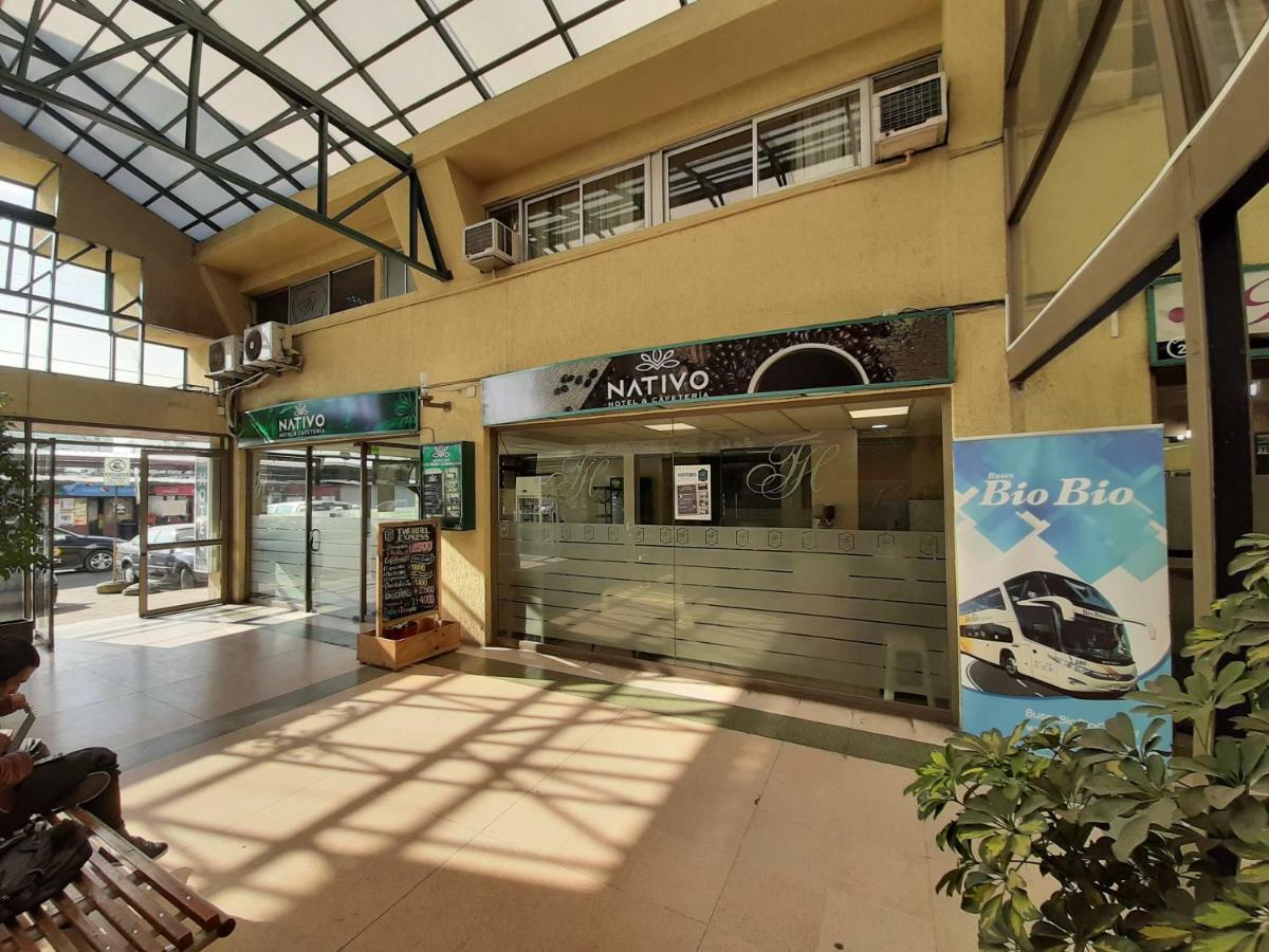 Nativo Hotel Y Cafeteria タルカ エクステリア 写真
