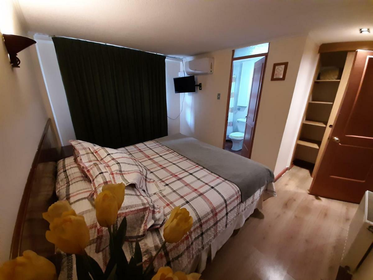 Nativo Hotel Y Cafeteria タルカ エクステリア 写真